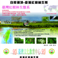 自然領域-台灣紅樹林生態
